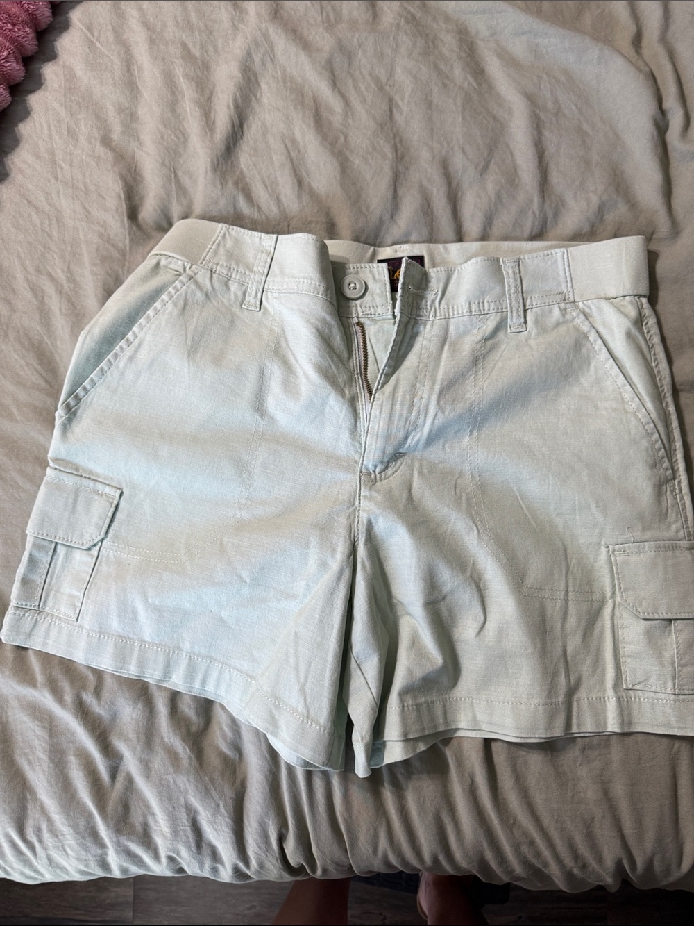Lee Light Sage Green Casual Shorts